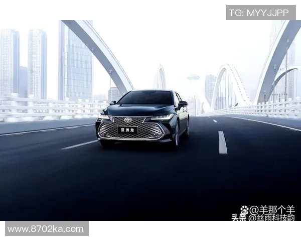上海网球队在洲际杯积分榜上以62分稳居第一名，展现强劲实力